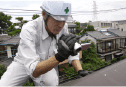 住宅インスペクション