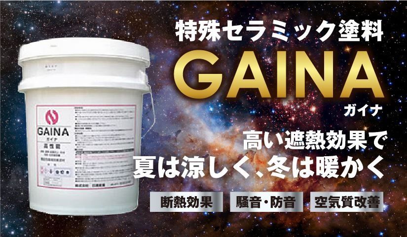 ガイナ