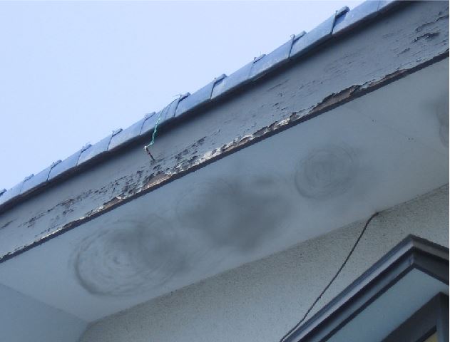 軒天