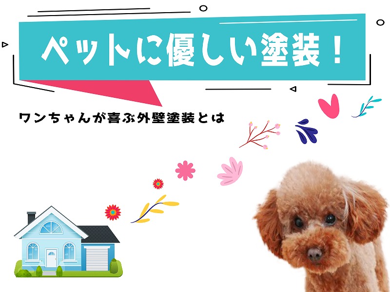 犬を飼っている人の外壁塗装 工事中はどこにいる ワンちゃんが喜ぶ外壁塗装とは 埼玉県の塗装ブランド I Sumu塗装